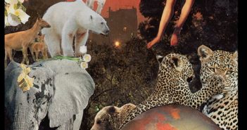 Tsaurah Litzky – The Picture Is The Poem