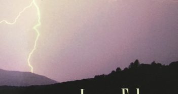 Night Ringing by Laura Foley