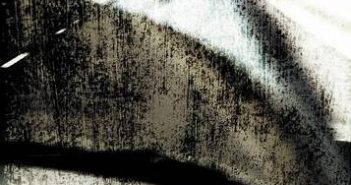 Folding Water and Hints, both by Rose Auslander