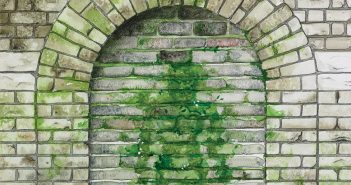 The Walled Wife by Nicelle Davis