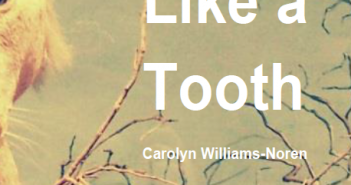 Small Like a Tooth by Carolyn Williams Noren