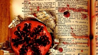 The Pomegranate Papers by Cassie Premo Steele