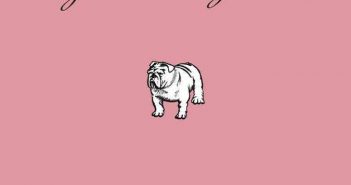 Dogs Have Angels Too by Sarah Cavallaro