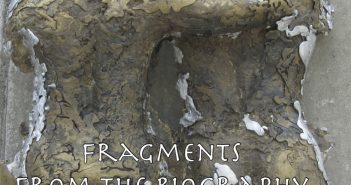 Fragments from the Biography of Nemesis by Lois Marie Harrod