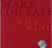 I Want To Make You Safe by Amy King