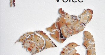 A Door with a Voice by Katie Manning
