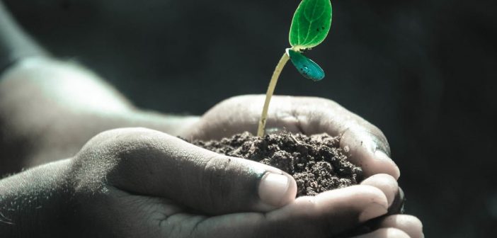 Self-Care As An Act Of Survival: A Folio by JP Howard