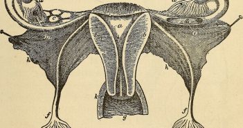 MER VOX Quarterly – Fall 2017