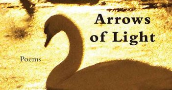 Arrows of Light by Andrea Potos