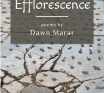 Efflorescence by Dawn Marar