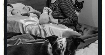 Cheryl Clark Vermeulen – Poetry