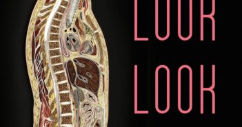 Look Look Look by Calista Buchen