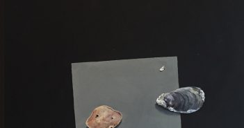 Asking the Form by Hilary Sallick