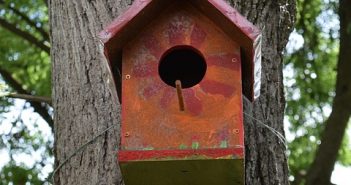 Lisa Grunberger – Dreaming of Exile