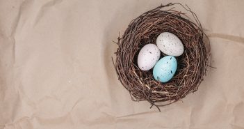 Call for Submissions – MER VOX Folio on Range of Motherhood