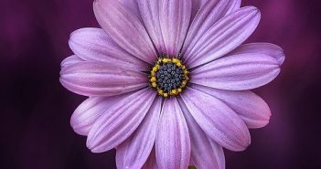 Chelsea Reiter – Poetry