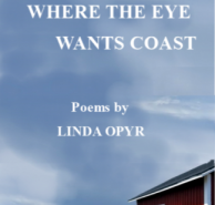 Where the Eye Wants Coast by Linda Opyr