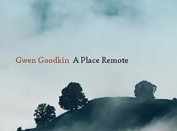 A Place Remote by Gwen Goodkin