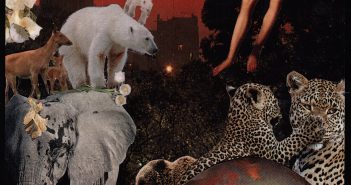 MER 13 – Leap of Faith by Deborah L. Blicher