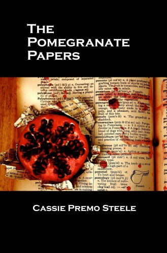 The Pomegranate Papers by Cassie Premo Steele