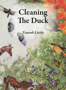 Cleaning The Duck by Tsaurah Litzky