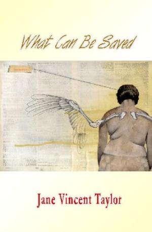 What Can Be Saved by Jane Vincent Taylor