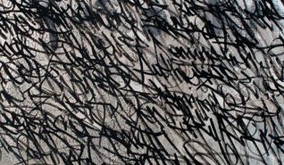 Whirlwind by Sharon Dolin