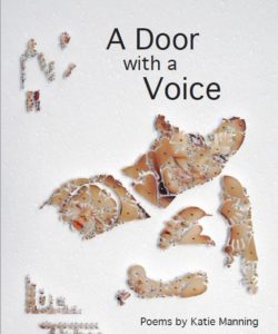 a-door-with-a-voice-cover