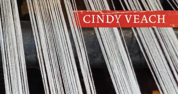 Gloved Against Blood by Cindy Veach