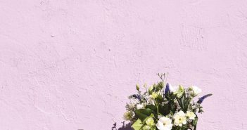 The Names of All the Flowers by Melissa Valentine