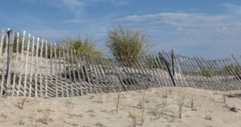 MER VOX Quarterly – Summer 2021
