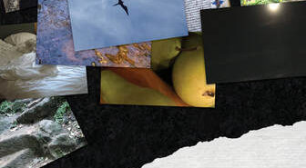 The Curator’s Notes by Robin Rosen Chang
