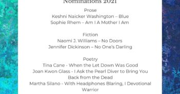 MER 2021 Best of the Net Nominees