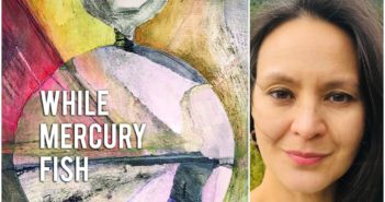 While Mercury Fish by Ana C.H. Silva