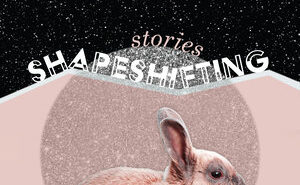 Shapeshifting by Michelle Ross
