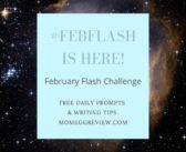 February Flash Challenge #febflash 2022!